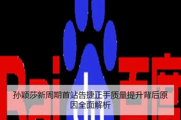 孙颖莎新周期首站告捷正手质量提升背后原因全面解析